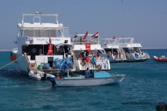 День очистки Красного моря и острова Маговиш