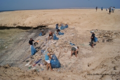 День очистки Красного моря и острова Маговиш