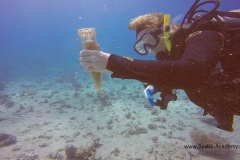 День очистки Красного моря и острова Маговиш