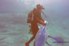 День очистки Красного моря и острова Маговиш