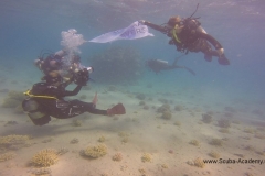 День очистки Красного моря и острова Маговиш