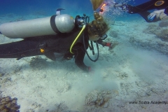 День очистки Красного моря и острова Маговиш