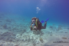 День очистки Красного моря и острова Маговиш