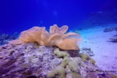GOPR2199.MP4_20161010_230924.156