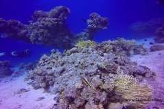 GOPR2201.MP4_20161010_231101.859
