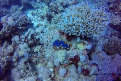 GOPR2287.MP4_20161013_214321.093
