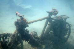 Фото с погружения на Wreck Balena 7