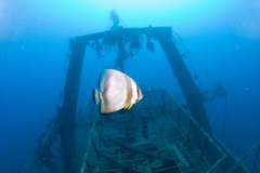 Затонувшие корабли Красного моря