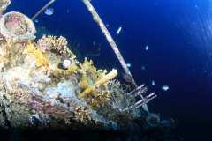 Затонувшие корабли Красного моря