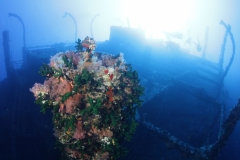 Затонувшие корабли Красного моря