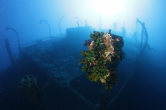 Затонувшие корабли Красного моря