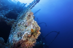 Затонувшие корабли Красного моря