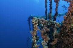 Затонувшие корабли Красного моря