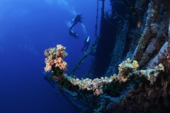 Затонувшие корабли Красного моря