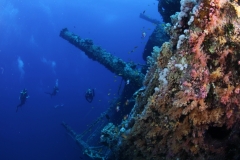 Затонувшие корабли Красного моря
