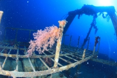 Затонувшие корабли Красного моря