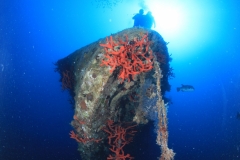 Затонувшие корабли Красного моря