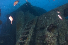 Затонувшие корабли Красного моря WreckNorth