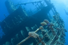 Затонувшие корабли Красного моря