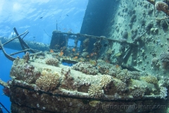 Затонувшие корабли Красного моря