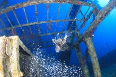 Затонувшие корабли Красного моря