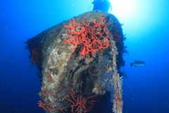 Затонувшие корабли Красного моря