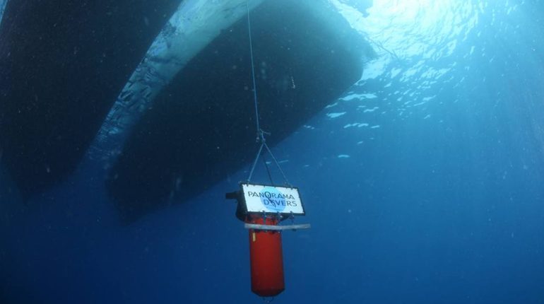 Panorama divers Schedule for November