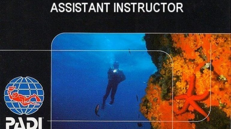 Assistant Instructor card