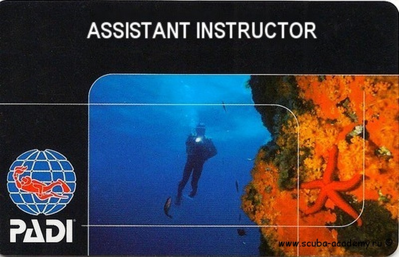 Assistant Instructor card