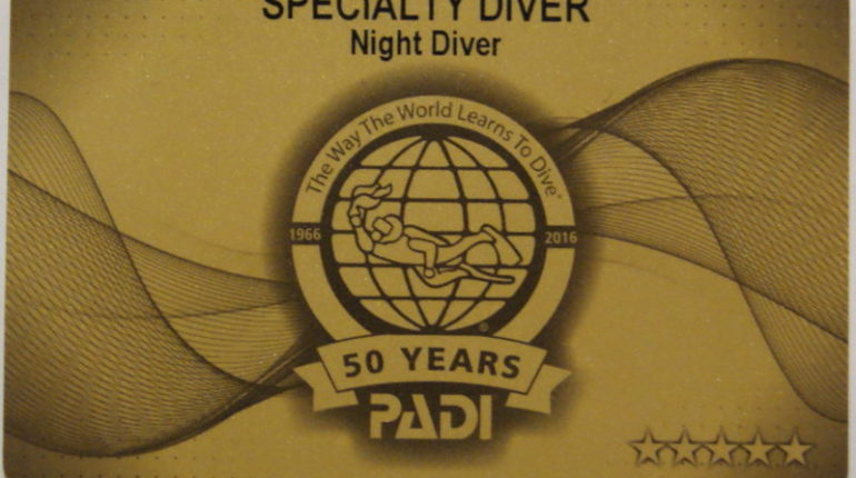 Night diver card
