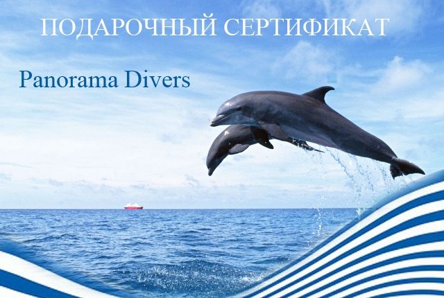 Gift certificate diving school