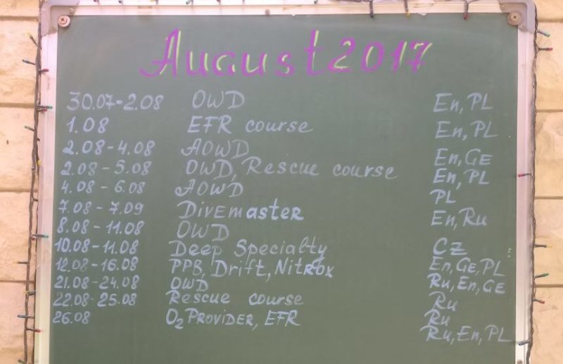 Расписание обучения дайвингу в Хургаде на август 2017 года