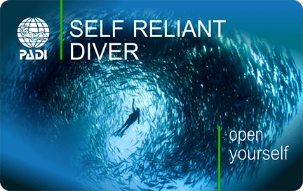 self_reliant_diver