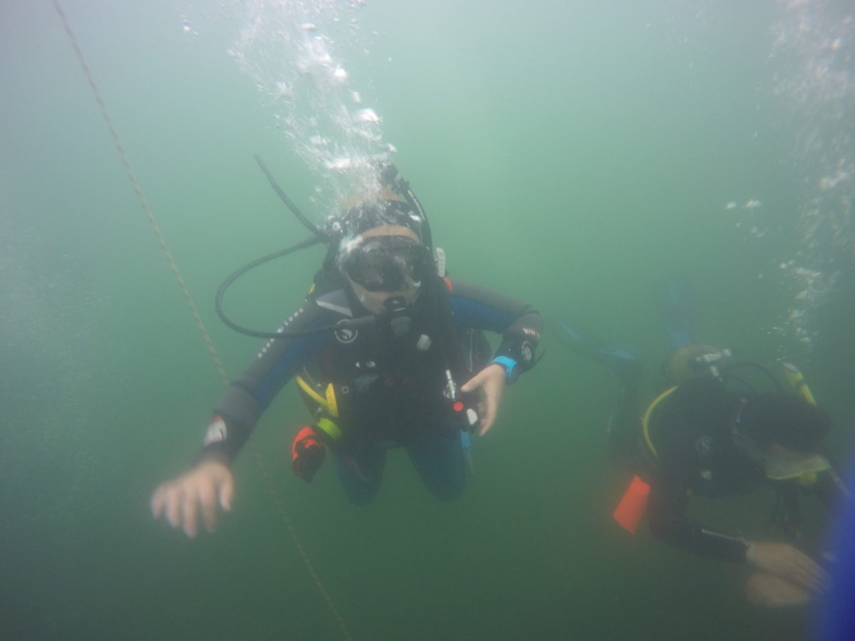 Open Water Diver в Москве